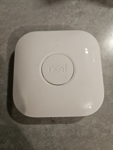 Google nest learning - google,