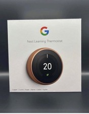 Google Nest Learning